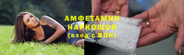 ГАЛЛЮЦИНОГЕННЫЕ ГРИБЫ Балабаново