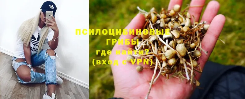 Галлюциногенные грибы MAGIC MUSHROOMS  Константиновск 